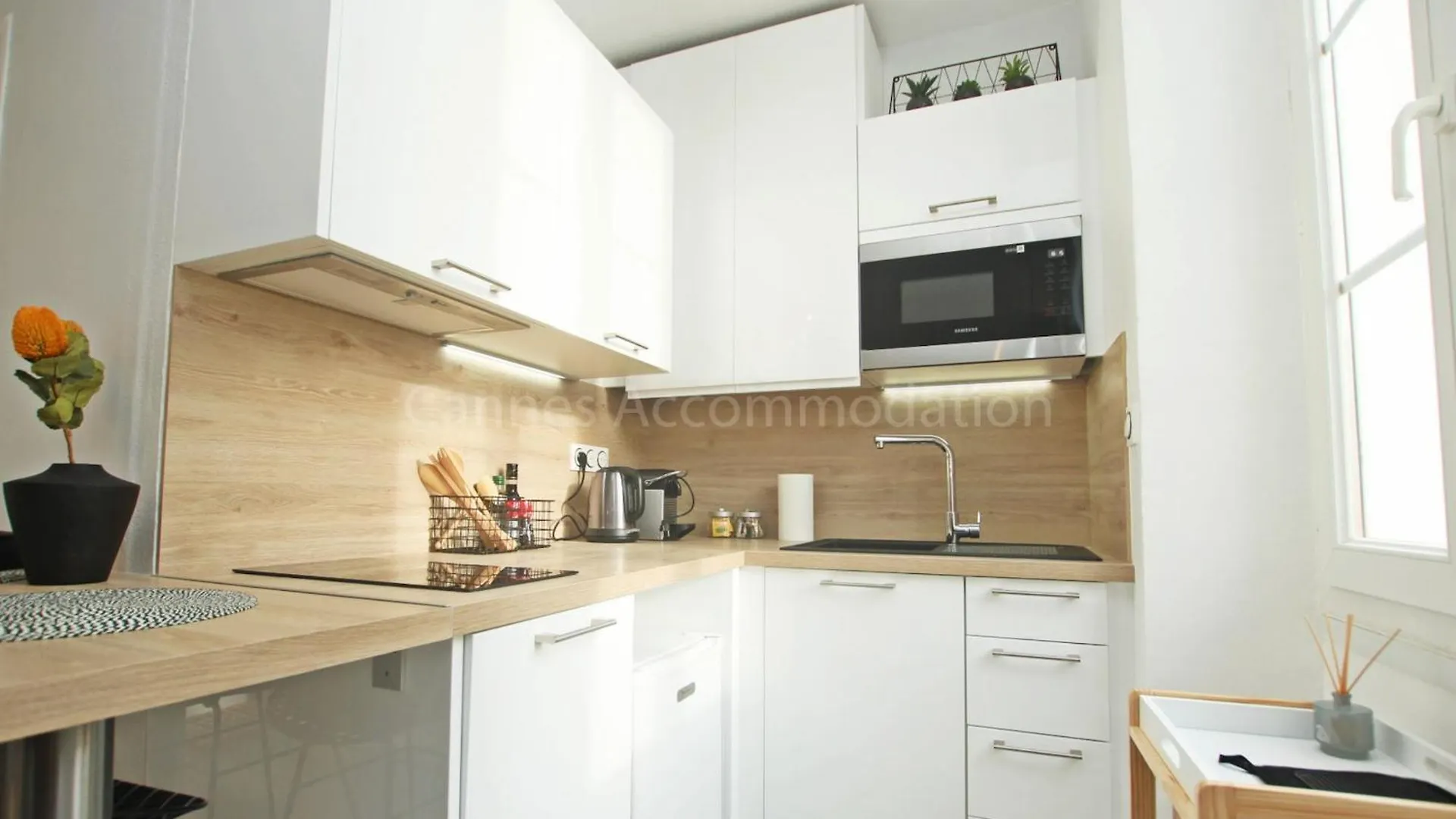 Apartment Fort Carre Cannes